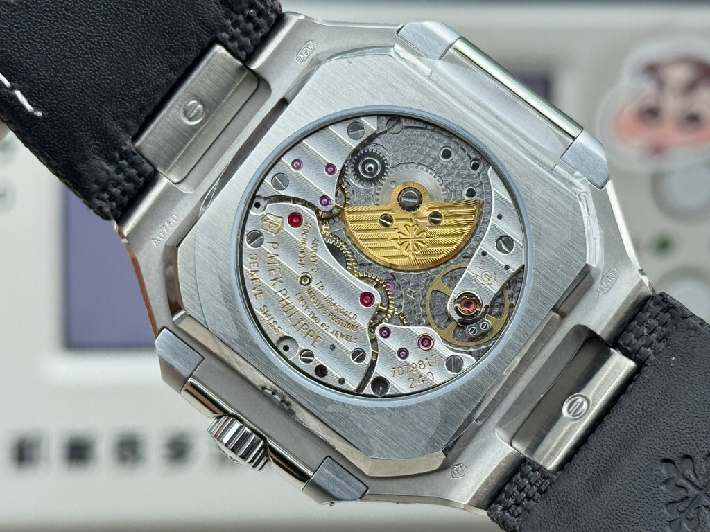 Patek Philippe Platinum Watch