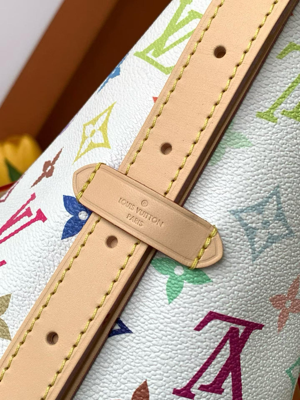 （M13661）The CarryAll Mini handbag is from Louis Vuitton.
