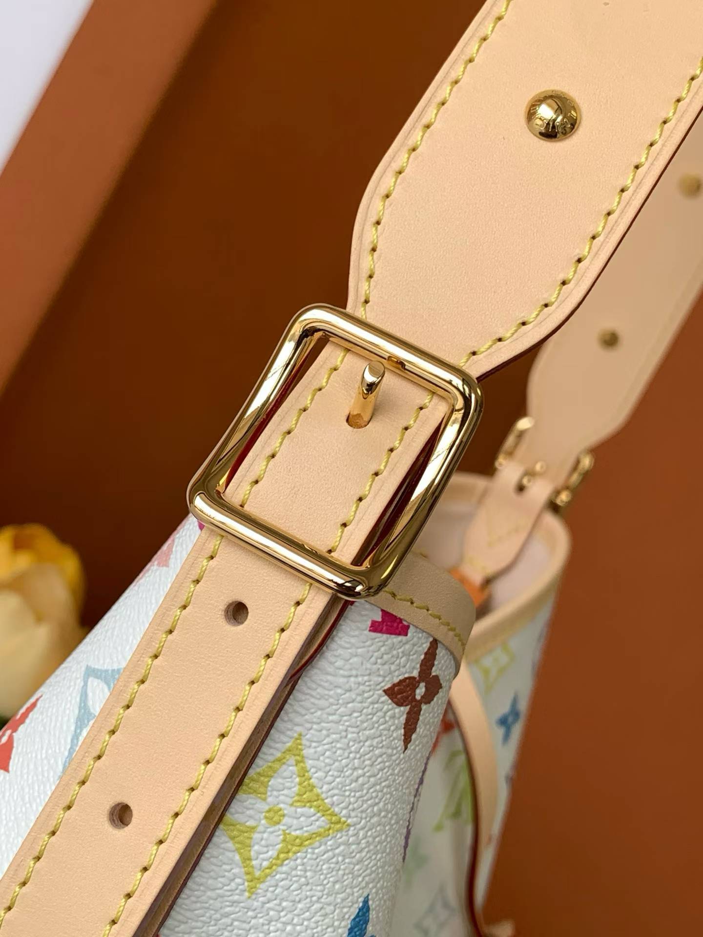 （M13661）The CarryAll Mini handbag is from Louis Vuitton.